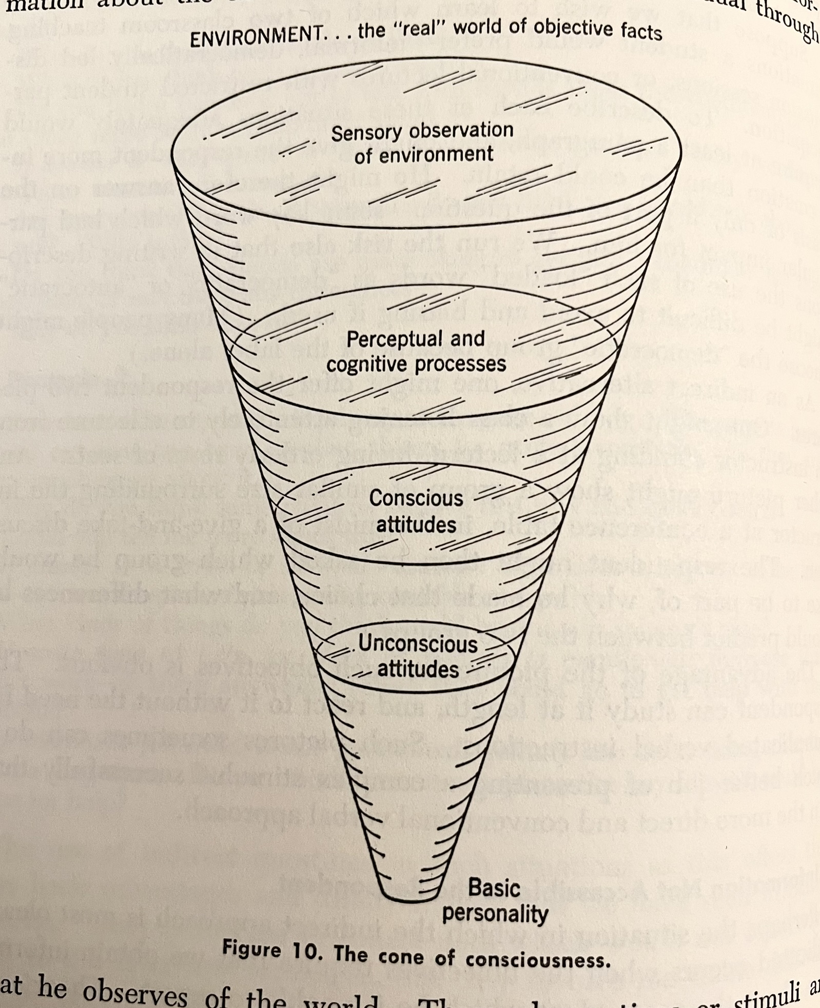 Cone of Consciousness